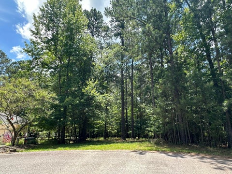 Vacant Land For Sale - B15 L6 Colleen Place<br/> McCormick, SC 29835