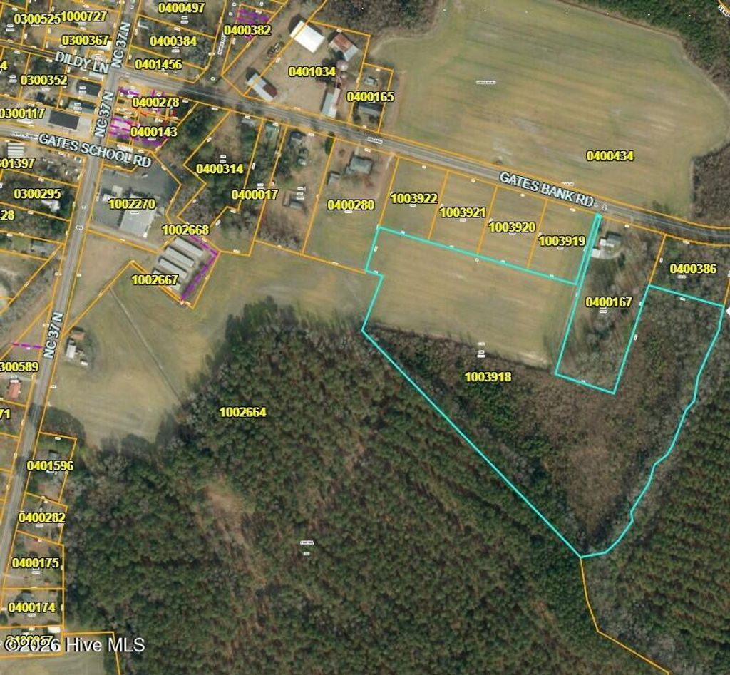 Photo of 000 Gates Bank Road, Gates, NC 27937 (MLS # 100579399)