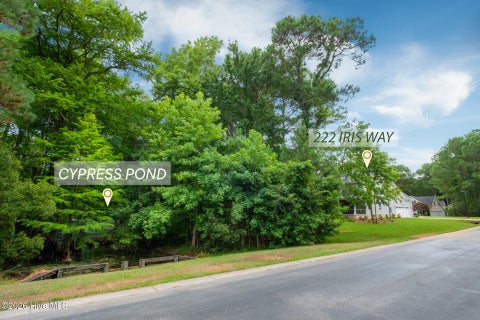 Tiny photo for 222 Iris Way, Hampstead, NC 28443 (MLS # 100587226)