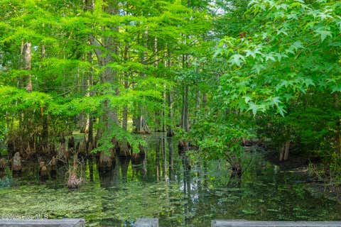 Tiny photo for 222 Iris Way, Hampstead, NC 28443 (MLS # 100587226)