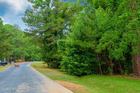 Tiny photo for 222 Iris Way, Hampstead, NC 28443 (MLS # 100587226)