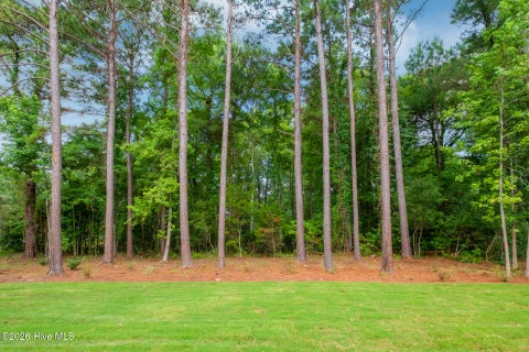 Tiny photo for 222 Iris Way, Hampstead, NC 28443 (MLS # 100587226)