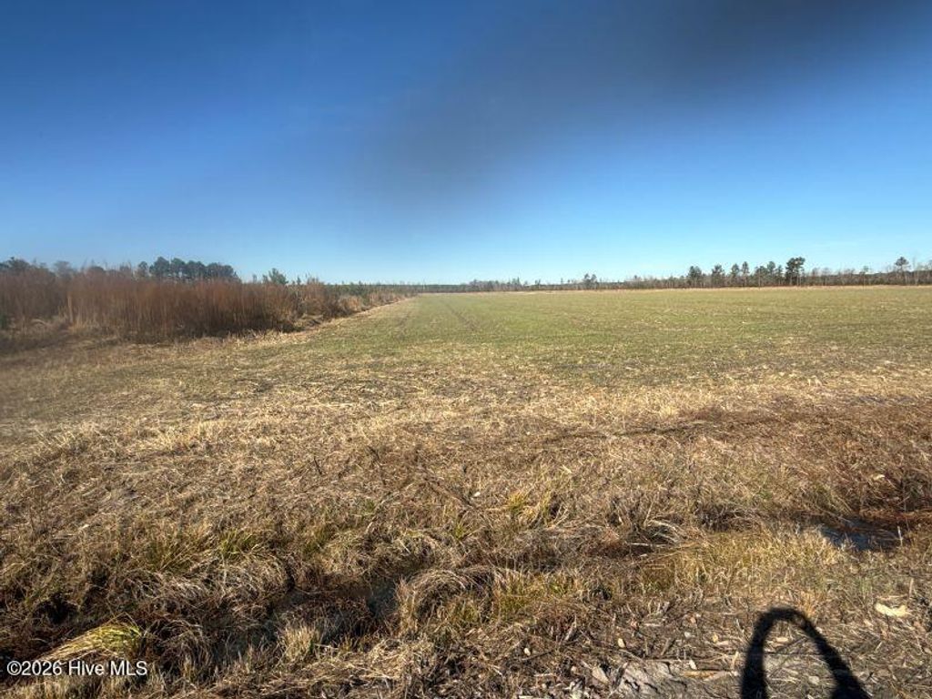 Photo of 2020 N Carolina 903, Greenville, NC 27834 (MLS # 100547507)