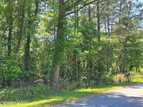 Tiny photo for 1 Lucas Avenue, Rocky Point, NC 28457 (MLS # 100575122)