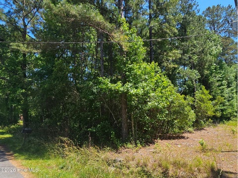 Tiny photo for 1 Lucas Avenue, Rocky Point, NC 28457 (MLS # 100575122)