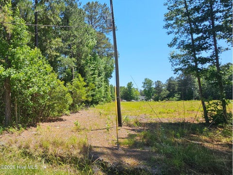 Tiny photo for 1 Lucas Avenue, Rocky Point, NC 28457 (MLS # 100575122)
