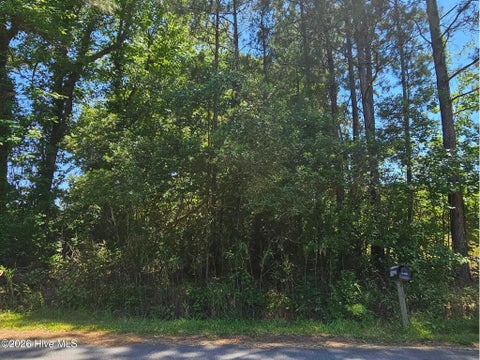 Tiny photo for 1 Lucas Avenue, Rocky Point, NC 28457 (MLS # 100575122)