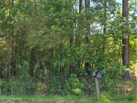 Tiny photo for 1 Lucas Avenue, Rocky Point, NC 28457 (MLS # 100575122)