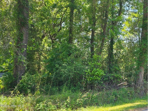 Tiny photo for 1 Lucas Avenue, Rocky Point, NC 28457 (MLS # 100575122)