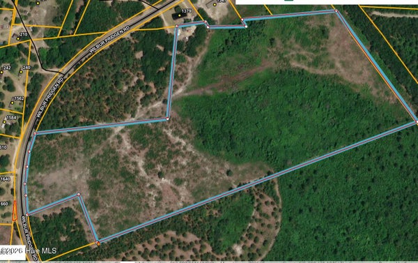 WILBUR PRIDGEN RD, HARRELLS, NC 28444 - Image e7ec0cbe6a34e1efdfd845ab41089403/1788453431