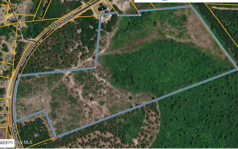 Vacant Land For Sale - Wilbur Pridgen Road<br/> Sampson County, Harrells, NC 28444