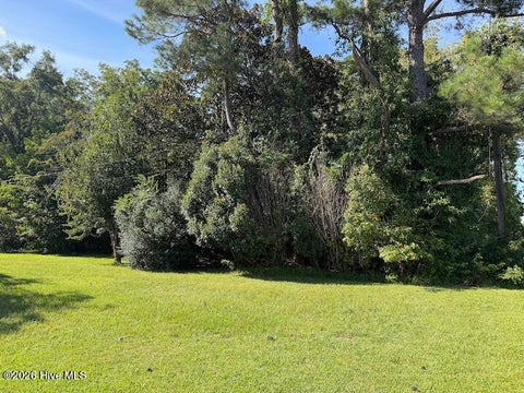 Tiny photo for 3133 Castle Hayne Road, Castle Hayne, NC 28429 (MLS # 100603294)