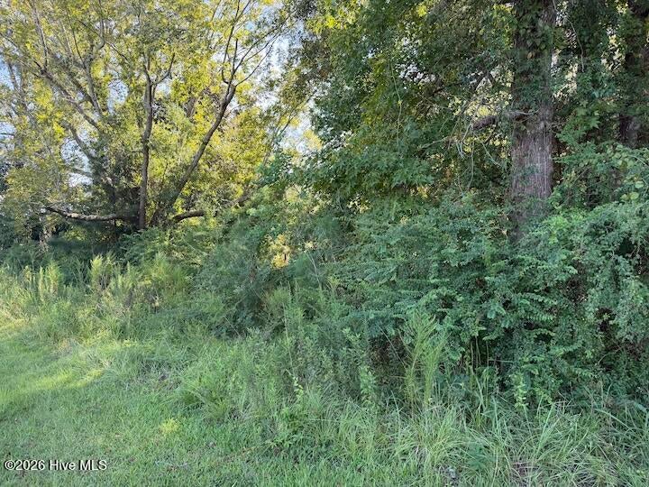 Photo of 3133 Castle Hayne Road, Castle Hayne, NC 28429 (MLS # 100603294)