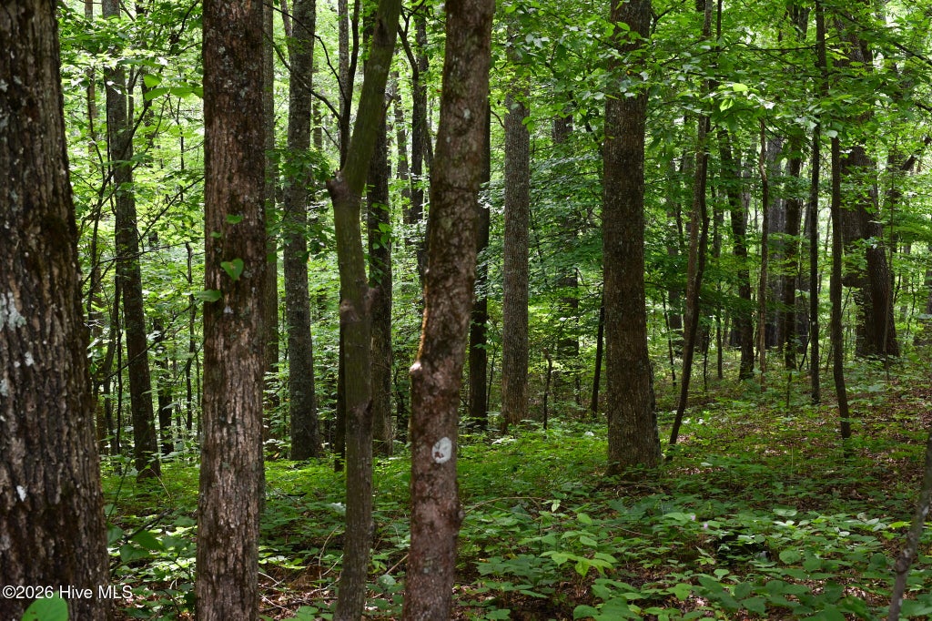 Photo of 0 Lories Mountain Drive Drive, Hayesville, NC 28904 (MLS # 100599786)
