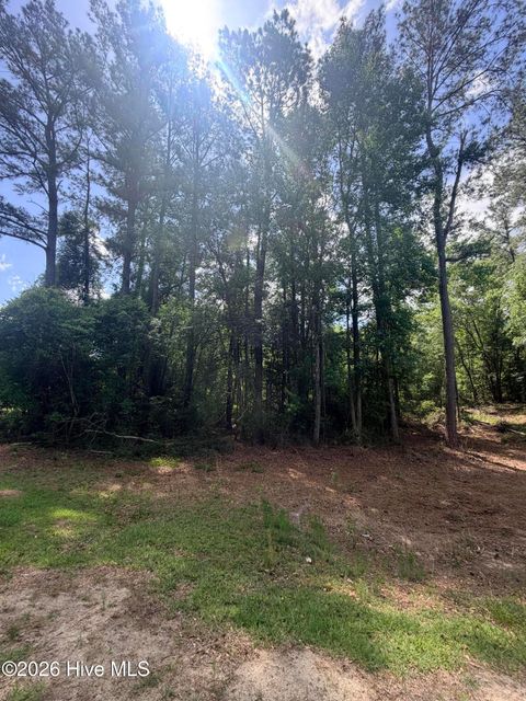 Tiny photo for 0000 Point Caswell Road, Atkinson, NC 28421 (MLS # 100573636)