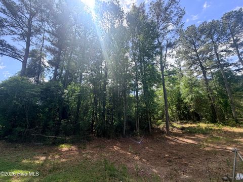 Tiny photo for 0000 Point Caswell Road, Atkinson, NC 28421 (MLS # 100573636)