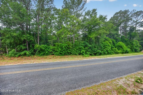 Tiny photo for 0000 Point Caswell Road, Atkinson, NC 28421 (MLS # 100573636)