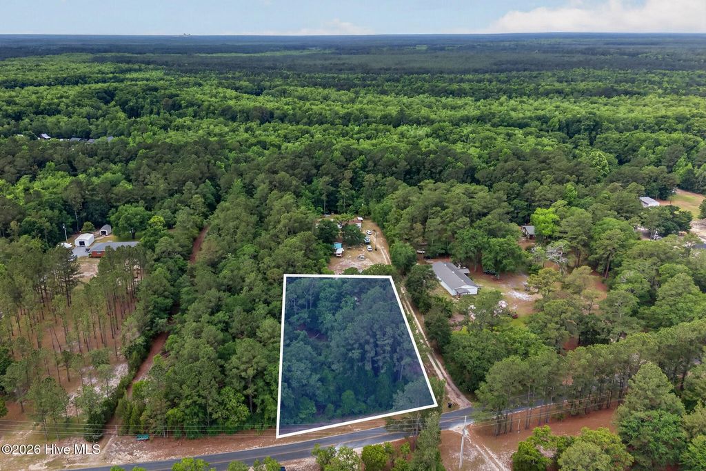 Photo of 0000 Point Caswell Road, Atkinson, NC 28421 (MLS # 100573636)
