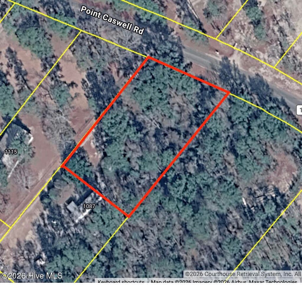 Photo of 0000 Point Caswell Road, Atkinson, NC 28421 (MLS # 100573636)