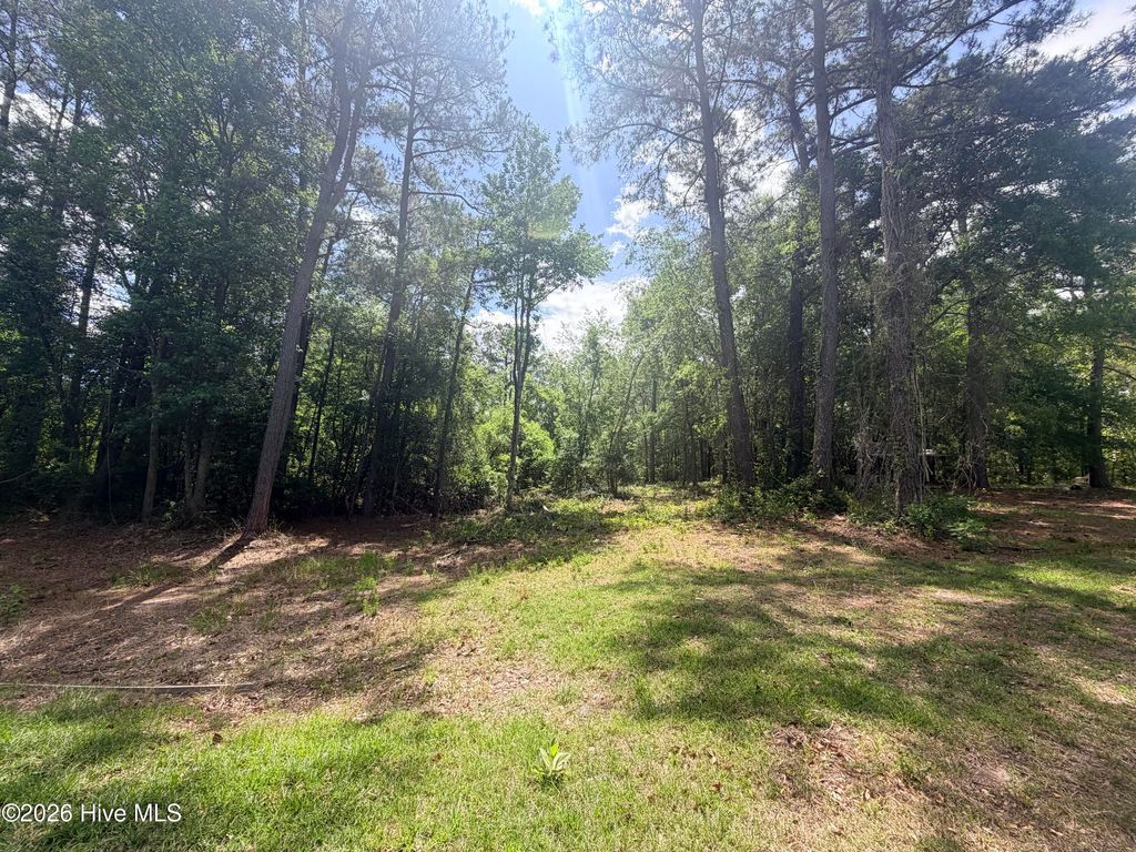 Photo of 0000 Point Caswell Road, Atkinson, NC 28421 (MLS # 100573636)