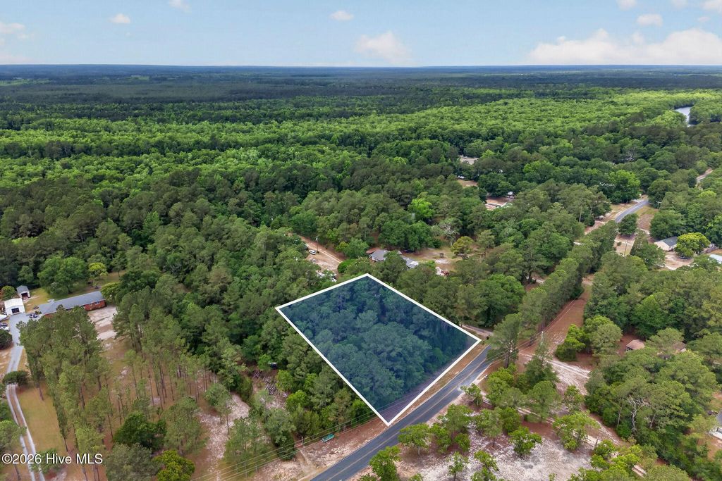 Photo of 0000 Point Caswell Road, Atkinson, NC 28421 (MLS # 100573636)