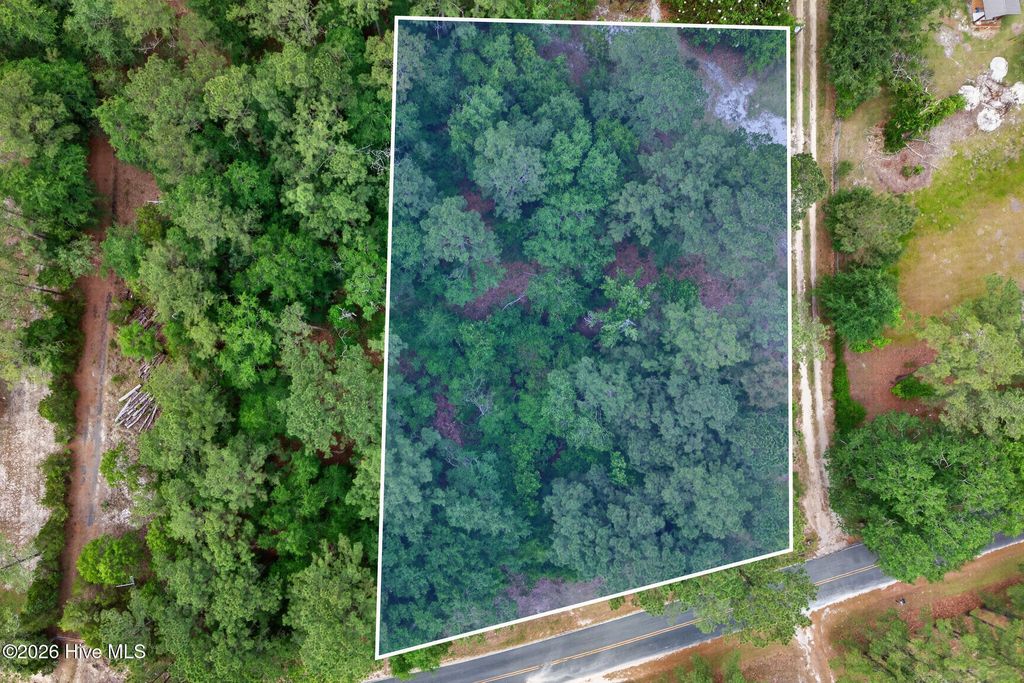 Photo of 0000 Point Caswell Road, Atkinson, NC 28421 (MLS # 100573636)