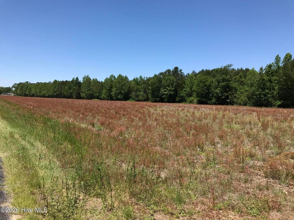 Photo of 0 NW Little Prong Rd NW, Ash, NC 28420 (MLS # 100560905)