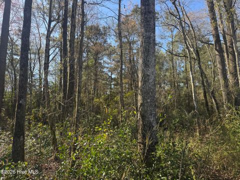 Tiny photo for 0 NW Little Prong Rd NW, Ash, NC 28420 (MLS # 100560905)