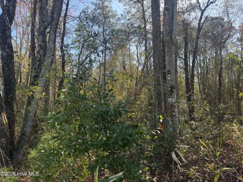 Tiny photo for 0 NW Little Prong Rd NW, Ash, NC 28420 (MLS # 100560905)