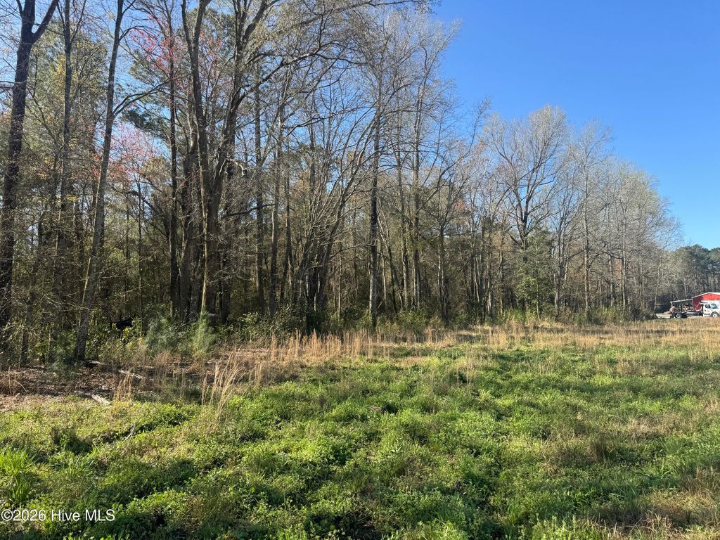 Photo of 0 NW Little Prong Rd NW, Ash, NC 28420 (MLS # 100560905)