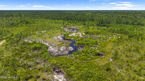 Tiny photo for 0 Tbd 110 Acres American Way Road, Rocky Point, NC 28457 (MLS # 100584611)