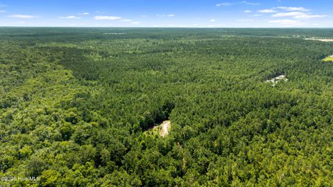 Tiny photo for 0 Tbd 110 Acres American Way Road, Rocky Point, NC 28457 (MLS # 100584611)