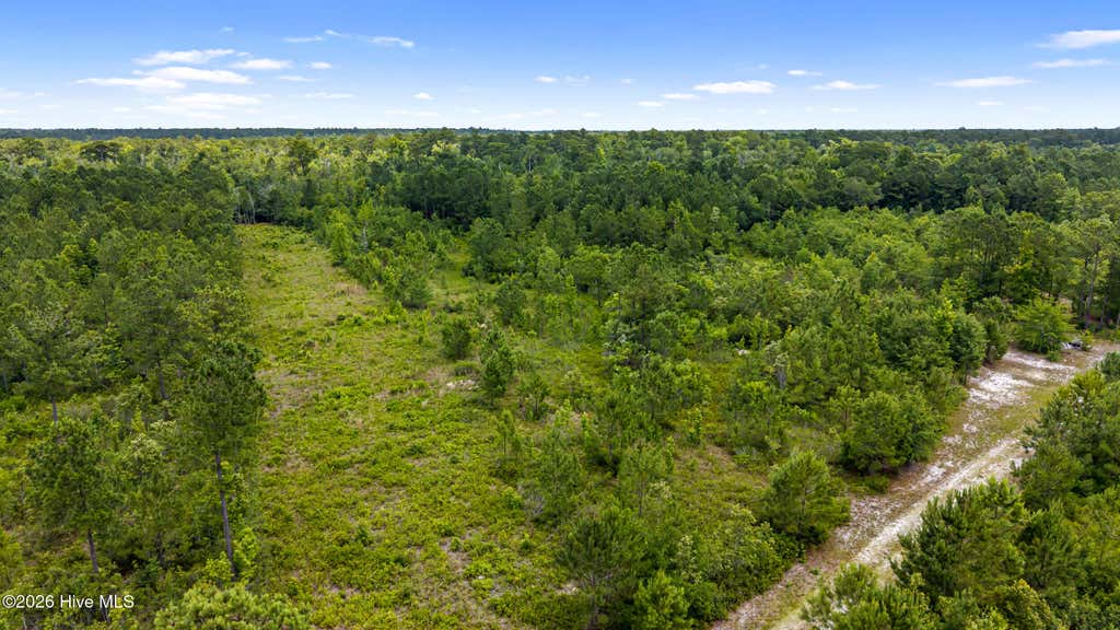 Photo of 0 Tbd 110 Acres American Way Road, Rocky Point, NC 28457 (MLS # 100584611)