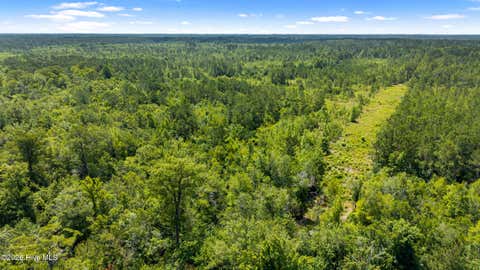 Tiny photo for 0 Tbd 110 Acres American Way Road, Rocky Point, NC 28457 (MLS # 100584611)