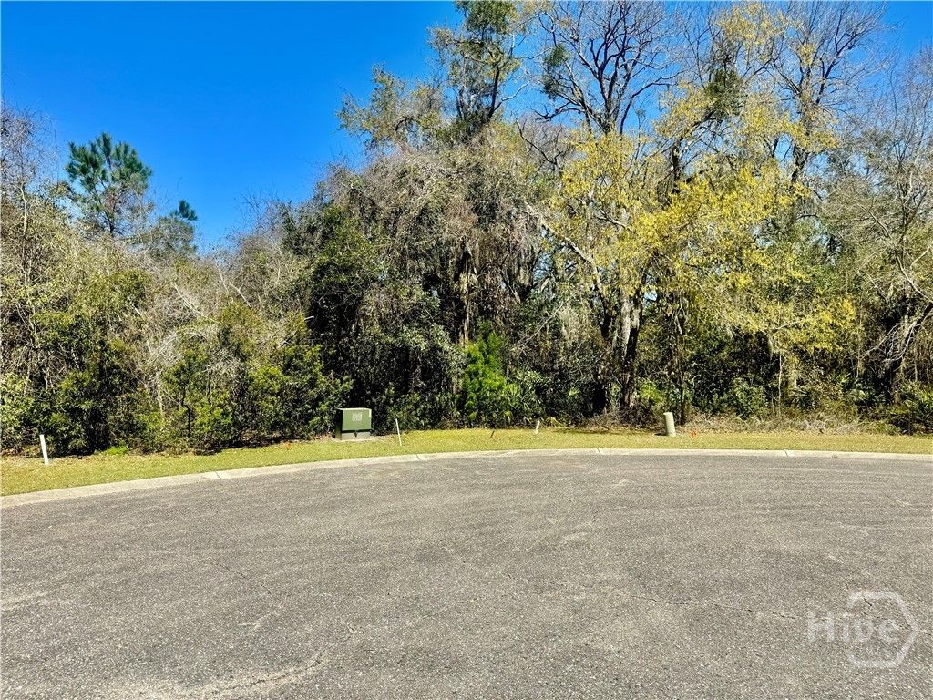 Photo of 0 starboard Court, St Marys, GA 31558 (MLS # SA353727)