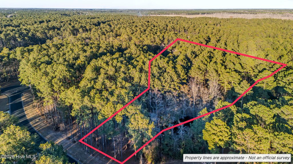 Photo of 88 Cape Hatteras Point, Oriental, NC 28571 (MLS # 100558643)