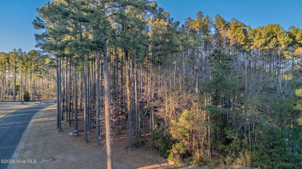 Photo of 88 Cape Hatteras Point, Oriental, NC 28571 (MLS # 100558643)