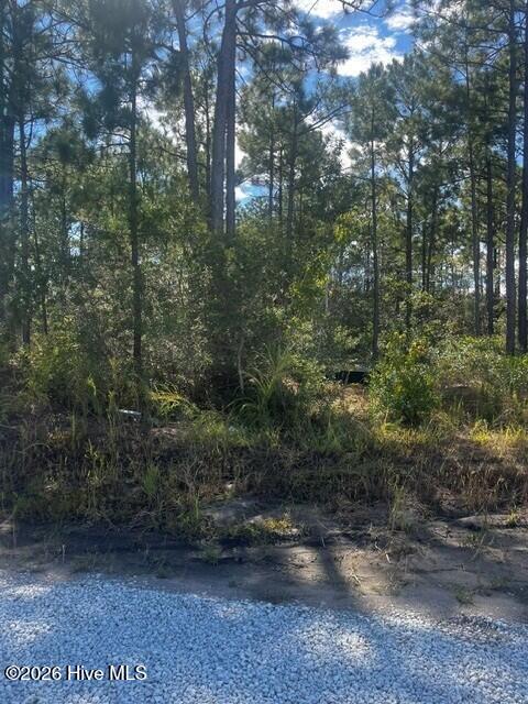 Photo of 0 Penguin Place, Hampstead, NC 28443 (MLS # 100610167)