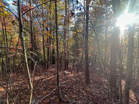 Vacant Land For Sale - Dones Drive<br/> Murphy, NC 28906