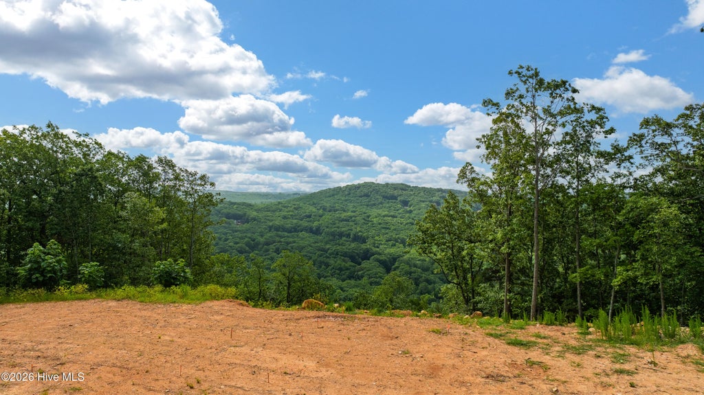 Photo of 0 Fawn Drive, Asheboro, NC 27205 (MLS # 100591434)