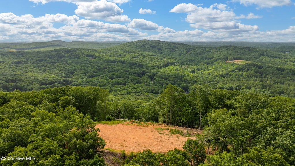 Photo of 0 Fawn Drive, Asheboro, NC 27205 (MLS # 100591434)
