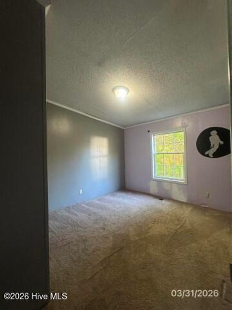 Tiny photo for 210 Haws Run Road, Jacksonville, NC 28540 (MLS # 100573464)