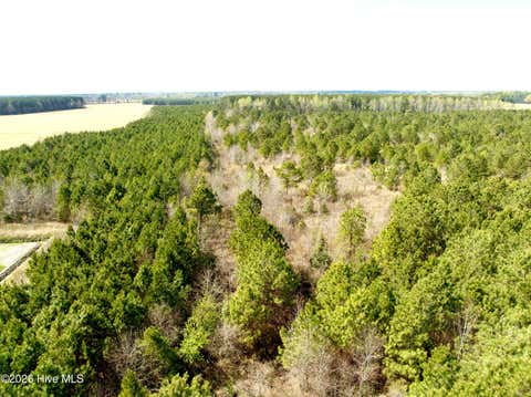 Vacant Land For Sale - Black Mingle Road<br/> Gates, NC 27937
