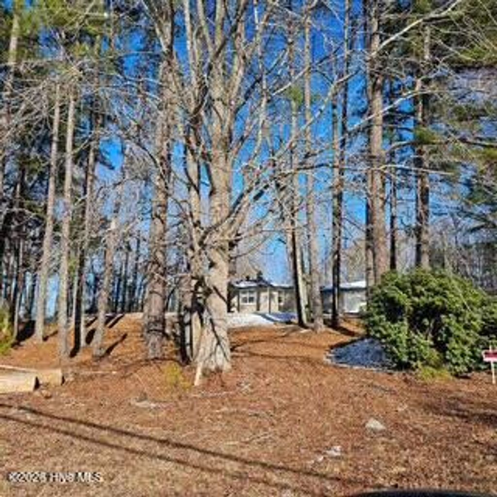 Photo of 301 S Pender Street, Elm City, NC 27822 (MLS # 100552789)