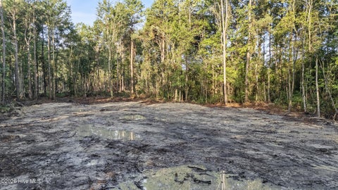 Tiny photo for 0 Us Hwy 117 N #Lot 3, Willard, NC 28478 (MLS # 100604754)