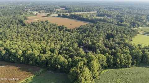 Tiny photo for 0 Us Hwy 117 N #Lot 3, Willard, NC 28478 (MLS # 100604754)