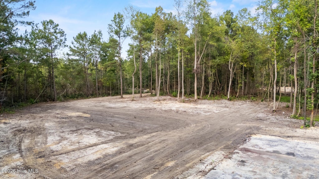 Photo of 0 Us Hwy 117 N #Lot 3, Willard, NC 28478 (MLS # 100604754)