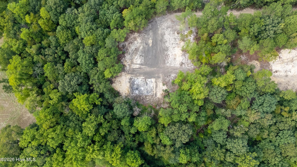 Photo of 0 Us Hwy 117 N #Lot 3, Willard, NC 28478 (MLS # 100604754)