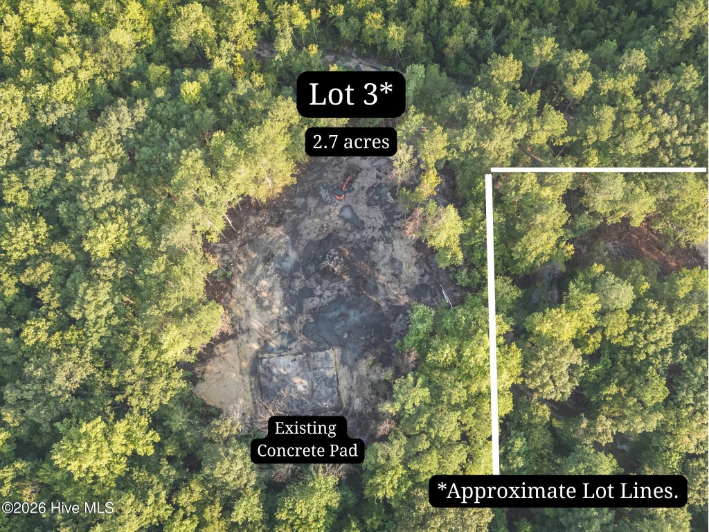 Photo of 0 Us Hwy 117 N #Lot 3, Willard, NC 28478 (MLS # 100604754)