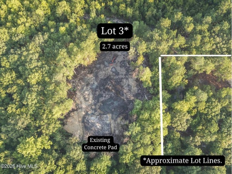 Tiny photo for 0 Us Hwy 117 N #Lot 3, Willard, NC 28478 (MLS # 100604754)